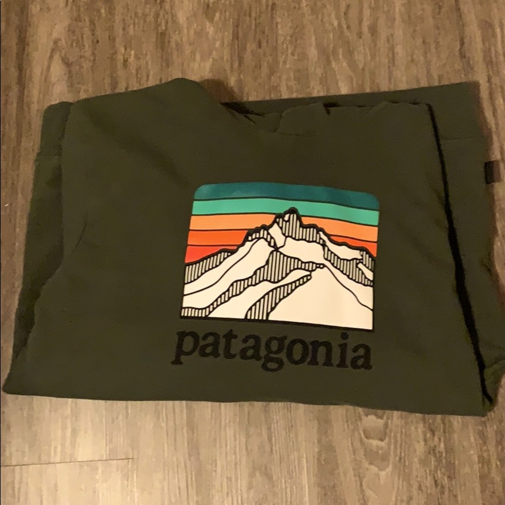 Patagonia hooded sweatshirt.